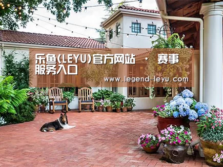客户案例标题九