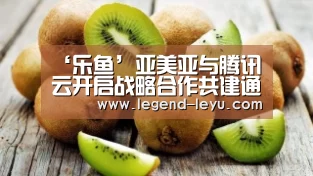 乐鱼