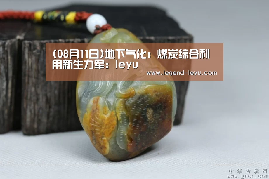 (08月11日)地下气化:煤炭综合利用新生力军:leyu(图1) 乐鱼