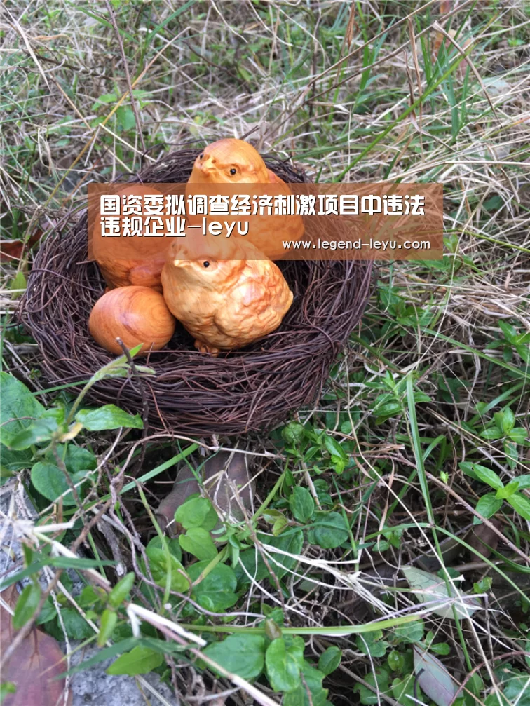 国资委拟调查经济刺激项目中违法违规企业-leyu(图2) 乐鱼体育