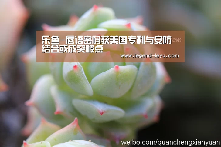 乐鱼-唇语密码获美国专利与安防结合或成突破点(图1) 乐鱼-唇语密码获美国专利与安防结合或成突破点(图1)