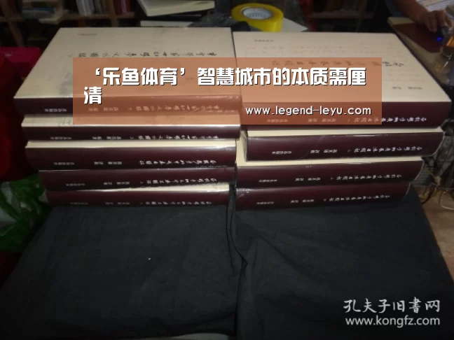 ‘乐鱼体育’智慧城市的本质需厘清(图3) 乐鱼官网登录